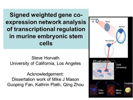 Signed weighted gene co-expression network analysis of transcriptional regulation in murine embryonic stem cells ES cell culture Self- renewing Ecto- derm.