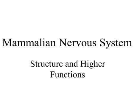 Mammalian Nervous System