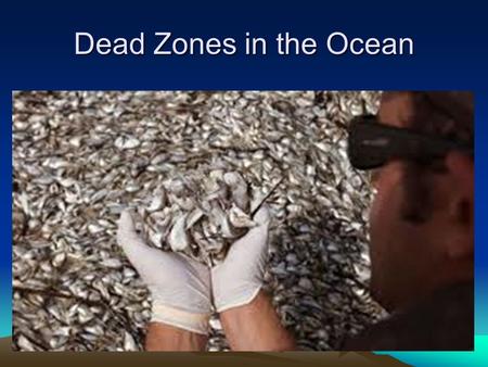 Dead Zones in the Ocean. What is the Nitrogen Cycle? The nitrogen cycle is the process in which nitrogen circulates among the air, soil, water,