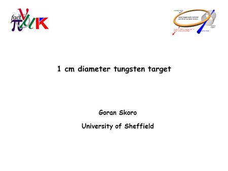 1 cm diameter tungsten target Goran Skoro University of Sheffield.
