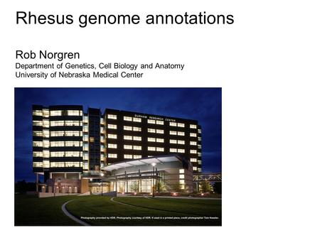 Rhesus genome annotations Rob Norgren Department of Genetics, Cell Biology and Anatomy University of Nebraska Medical Center.