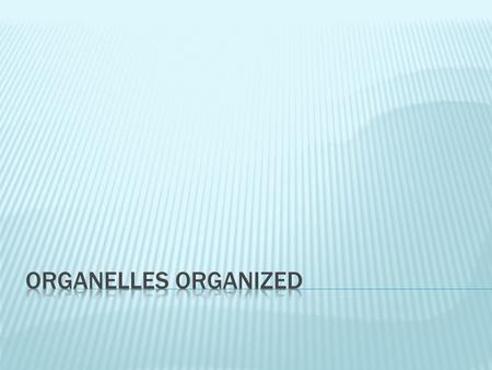 Organelles organized.