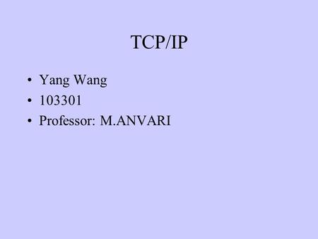 TCP/IP Yang Wang 103301 Professor: M.ANVARI.