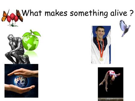 What makes something alive ?