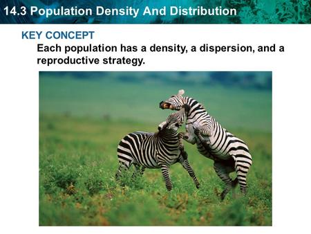 Population density is a measurement of the number of individuals living in a defined space.
