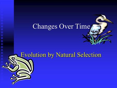 Changes Over Time Evolution by Natural Selection.