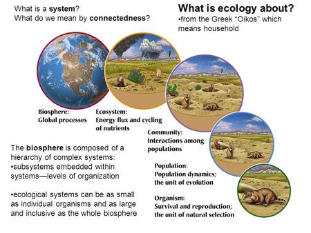 What is ecology about? What is a system? from the Greek “Oikos” which