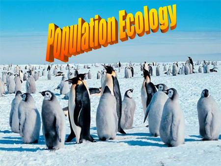 What is population? Group of individuals of the same species that live in the same area.