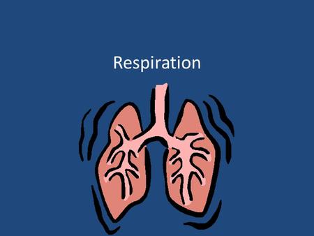 Respiration. – The process by which chemical bond energy in nutrients is used to synthesize ATP Respiration allows for the energy stored in food to be.