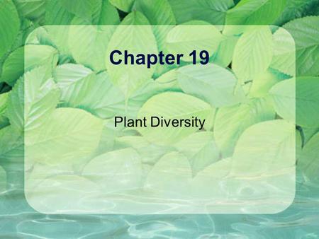 Chapter 19 Plant Diversity.