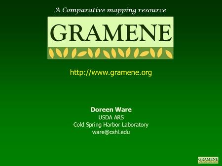 A Comparative mapping resource GRAMENE  Doreen Ware USDA ARS Cold Spring Harbor Laboratory