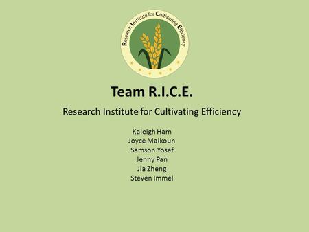 Team R.I.C.E. Research Institute for Cultivating Efficiency Kaleigh Ham Joyce Malkoun Samson Yosef Jenny Pan Jia Zheng Steven Immel.