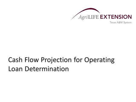 Cash Flow Projection for Operating Loan Determination.