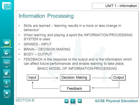 GCSE Physical Education Information/Discussion Practical Application Links Diagram/Table Activity Revision MAIN MENU Information Processing SECTION B UNIT.