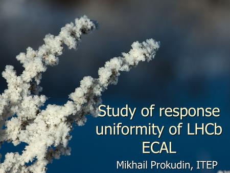 Study of response uniformity of LHCb ECAL Mikhail Prokudin, ITEP.