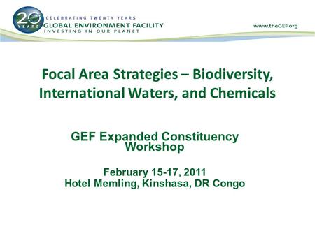 Focal Area Strategies – Biodiversity, International Waters, and Chemicals GEF Expanded Constituency Workshop February 15-17, 2011 Hotel Memling, Kinshasa,