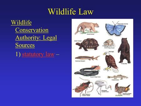 Wildlife Law Wildlife Conservation Authority: Legal Sources 1) statutory law –