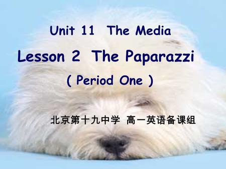 Unit 11 The Media Lesson 2 The Paparazzi ( Period One ) 北京第十九中学 高一英语备课组.