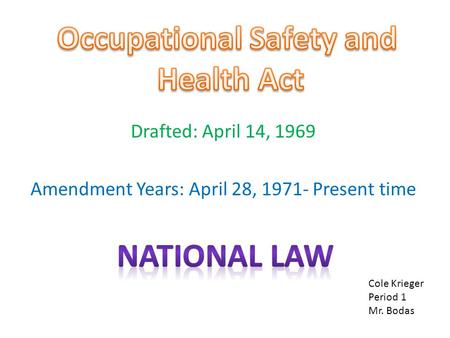 Drafted: April 14, 1969 Amendment Years: April 28, 1971- Present time Cole Krieger Period 1 Mr. Bodas.