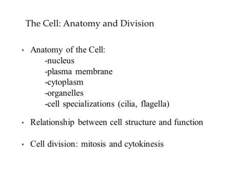 The Cell: Anatomy and Division Anatomy of the Cell: -nucleus -plasma membrane -cytoplasm -organelles -cell specializations (cilia, flagella) Relationship.