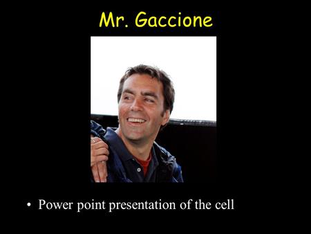 Mr. Gaccione Power point presentation of the cell.