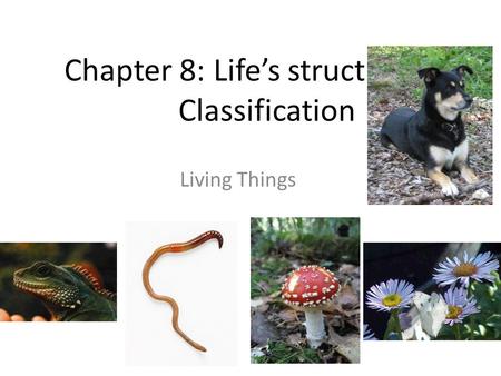 Chapter 8: Life’s structure and Classification