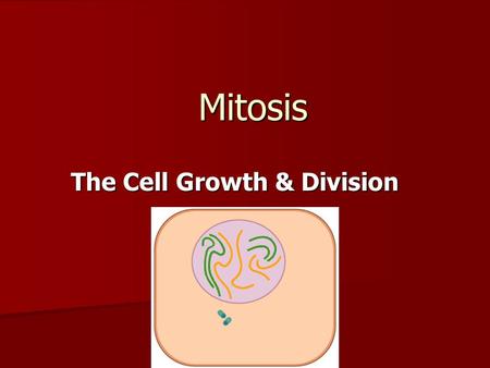 The Cell Growth & Division