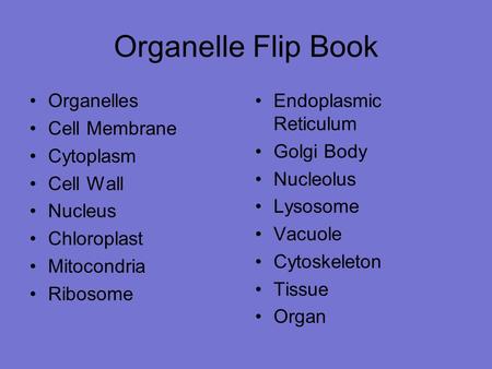 Organelle Flip Book Organelles Cell Membrane Cytoplasm Cell Wall