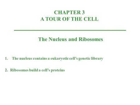 CHAPTER 3 A TOUR OF THE CELL The Nucleus and Ribosomes 1.The nucleus contains a eukaryotic cell’s genetic library 2.Ribosomes build a cell’s proteins.