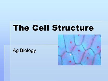 The Cell Structure Ag Biology. Cell Overview  CELLS-The common thing that makes up every living thing  Anton van Leeuwenhoek was the first person to.