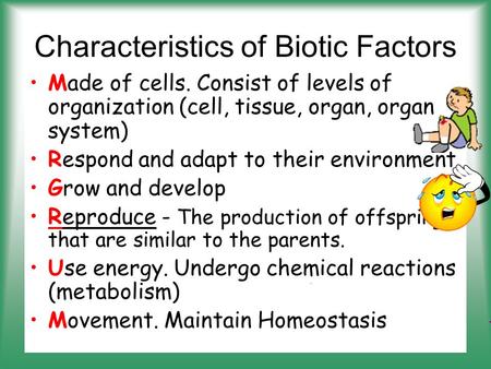 Characteristics of Biotic Factors Made of cells. Consist of levels of organization (cell, tissue, organ, organ system) Respond and adapt to their environment.