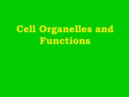 Cell Organelles and Functions