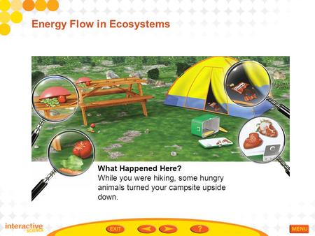 Energy Flow in Ecosystems What Happened Here? While you were hiking, some hungry animals turned your campsite upside down.