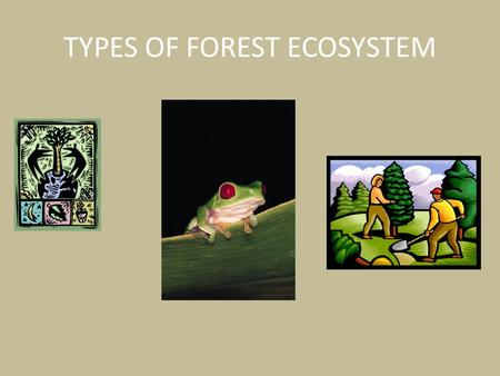 TYPES OF FOREST ECOSYSTEM. DECIDOUS FOREST Decidous forest: are dominated by Decidous trees. These trees shed their leaves each year and re grow them.
