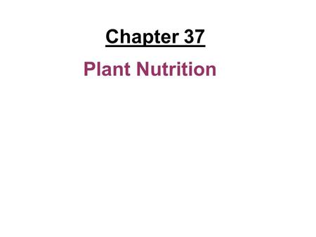 Chapter 37 Plant Nutrition.