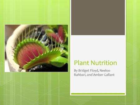Plant Nutrition By Bridget Floyd, Neeloo Rahbari, and Amber Gallant.