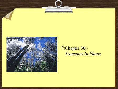 8Chapter 36~ Transport in Plants. Transport Overview 81- uptake and loss of water and solutes by individual cells (root cells) 82- short-distance transport.