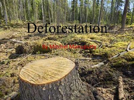 Deforestation By Mitchel Manuputty.