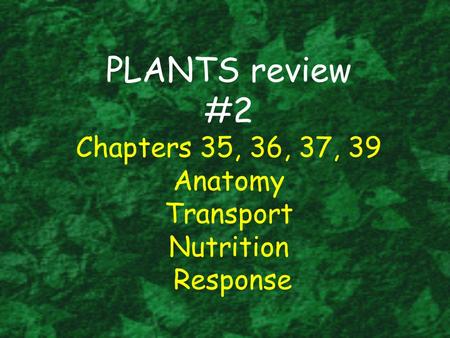 Name the three basic plant organs