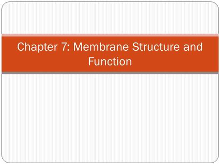 Chapter 7: Membrane Structure and Function. Selectively Permeable membranes allow some materials to cross them more easily than other which enables the.