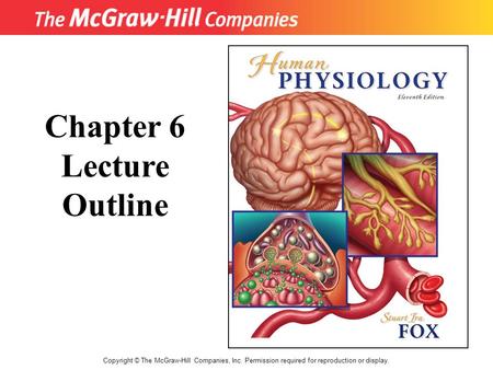 Copyright © The McGraw-Hill Companies, Inc. Permission required for reproduction or display. Chapter 6 Lecture Outline.