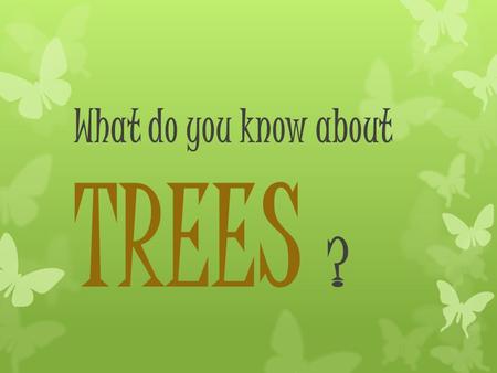 What do you know about TREES ?. Let’s Look at some amazing trees These trees are in New Zealand. Why do you think they look this way?