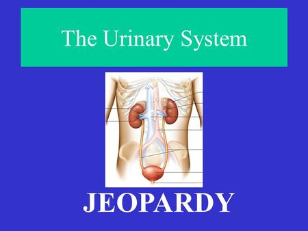 The Urinary System JEOPARDY To Pee or Not to Pee… Gee Whiz Starts With Pee Soup Pee is For Parts Final Jeopardy! #1 #2 #3Final Jeopardy! #1 #2 #3 Pee.