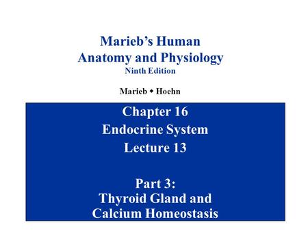 Anatomy and Physiology Part 3: Thyroid Gland and Calcium Homeostasis
