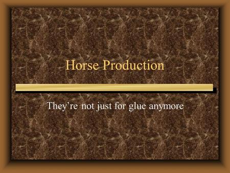 Horse Production They’re not just for glue anymore.