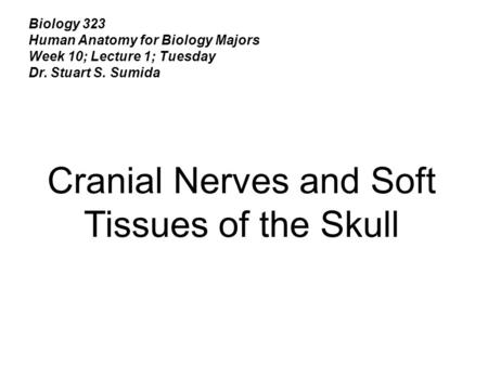 Cranial Nerves and Soft Tissues of the Skull