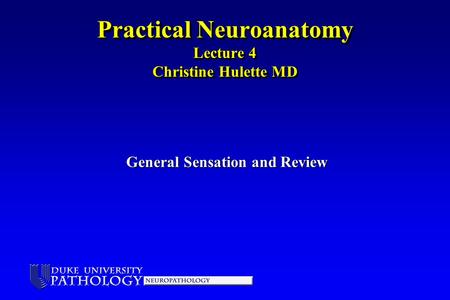 Practical Neuroanatomy Lecture 4 Christine Hulette MD General Sensation and Review.