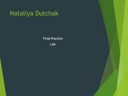 Final Practice Lab Nataliya Dutchak. What are the different systems and their component? 1 2 3 1 2 1.