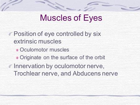 Muscles of Eyes Position of eye controlled by six extrinsic muscles