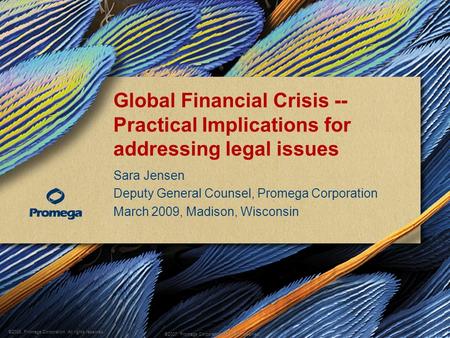 ©2008, Promega Corporation. All rights reserved. ©2007, Promega Corporation. All rights reserved. Global Financial Crisis -- Practical Implications for.